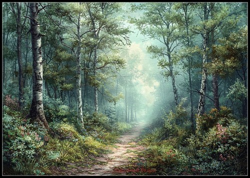 Misty forest path - forest,